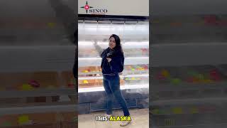 Alaska Line Open Air Cooler &amp; Misting System