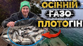 видео: ⚠️ ТИПОВІ ПОМИЛКИ ловлі на фідер по ХОЛОДНІЙ ВОДІ! Рибалка в КИЄВІ ❗️ картинка: ⚠️ ТИПОВІ ПОМИЛКИ ловлі на фідер по ХОЛОДНІЙ ВОДІ! Рибалка в КИЄВІ ❗️