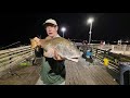 Off the beaten path  bullred fishing from the pier