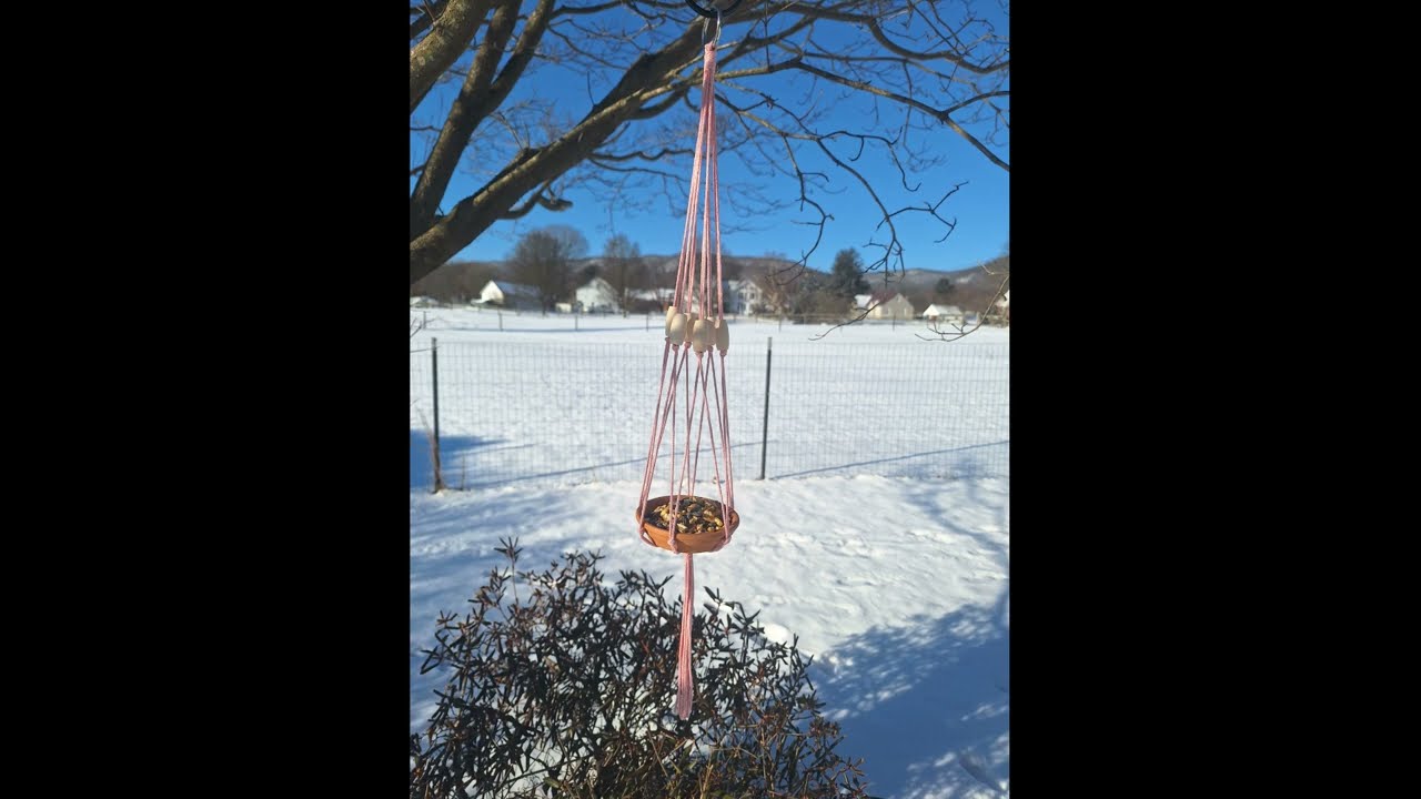 DIY Bird Feeder: Macrame and Terracotta Plate Bird Feeder | Feed the Birds: March Madness Series 🐦