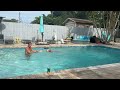 Dog Jumps Alongside Owner Into Pool -  1498987
