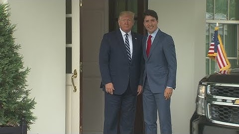 President Trump pauses tariffs on Mexico, Canada