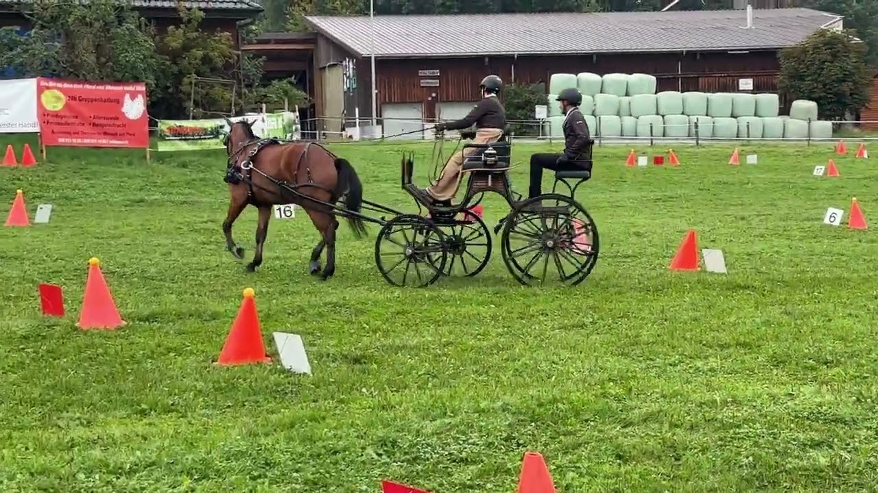 Lasco von Hochbrügg