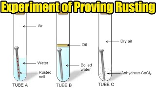 Experiment of Proving Rusting