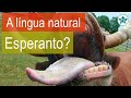 O Esperanto funciona como uma língua natural? | Esperanto do ZERO!