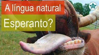 O Esperanto funciona como uma língua natural? | Esperanto do ZERO!