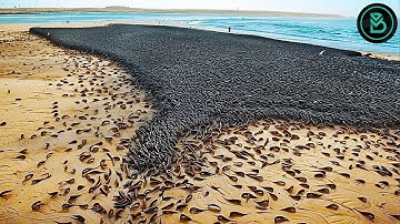 Những hiện tượng thiên nhiên đáng kinh ngạc và kỳ lạ nhất thế giới mà bạn chưa bao giờ nhìn thấy