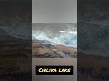 चिलका lake-amazaing fact larget lake of india | Day-8 #ytshorts #factshorts #shorts