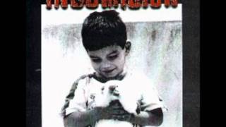 Insumisión - La frustración lo cubre todo
