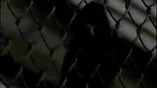 Skinny Puppy - Testure