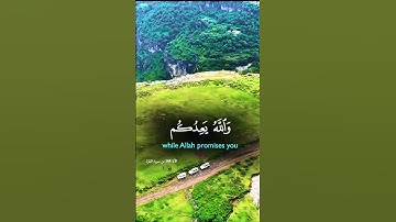 تلاوة خاشعة قرأن كريم راحة نفسية #elmulquranعلم #قران_كريم #تلاوة #اكسبلور #المصحف #trend