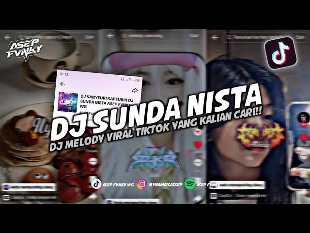 DJ MELODY VIRAL TIKTOK YANG KALIAN CARI!! - DJ SUNDA NISTA SLOWED BY ASEP FVNKY WG class=
