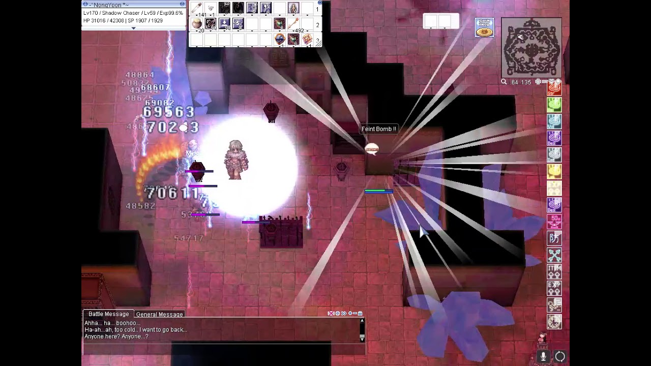 Iro Shadow Chaser Bow build Illusion Turtle