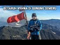 PERJUANGAN MUNCAK GUNUNG TERTINGGI DI JAWA! SEMERU FULL TRIP