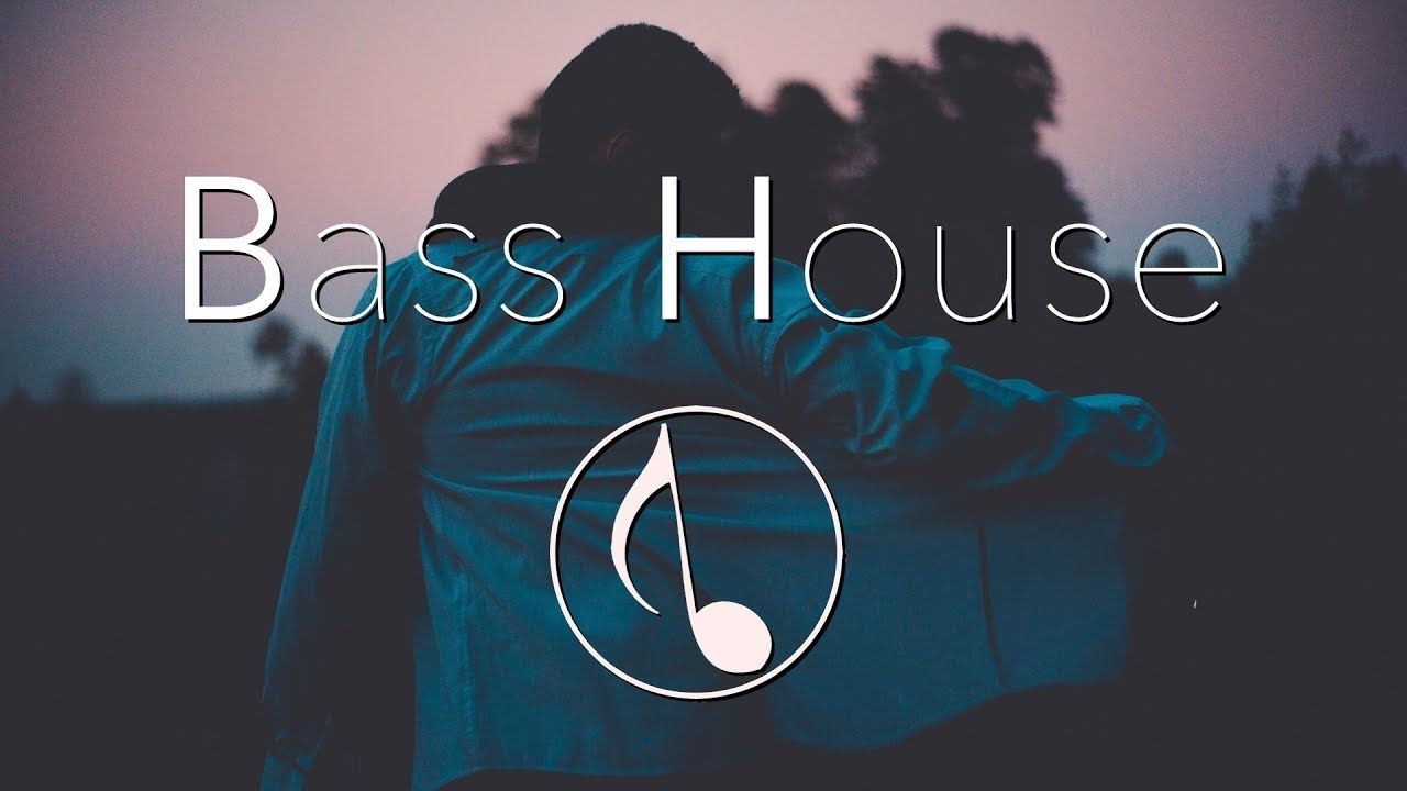 Adrian Van Sin - Polony (Original Mix)