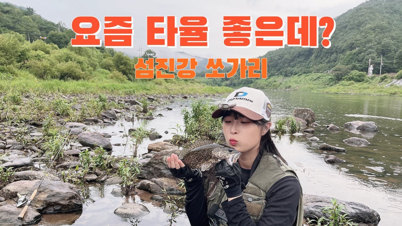 낚시는 역시 평일이죠! 섬진강 새벽장 우중전 쏘가리.