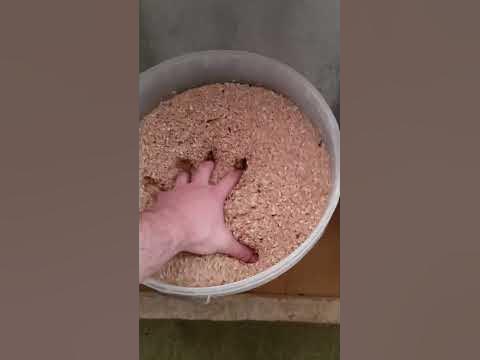 Овсянка на дрожжах кодзи - YouTube