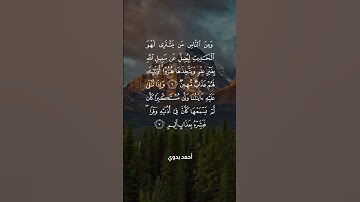 ومن الناس من يشتري لهو الحديث ليضل عن سبيل الله بغير علم ويتخذها هزوا | سورة لقمان | فارس عباد