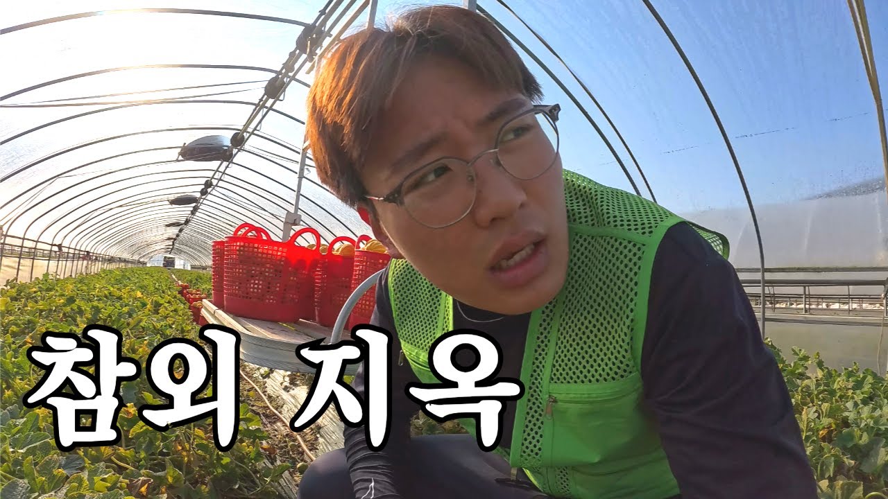 사장님 더워서 일 못하겠어요 [성주 한달살기]