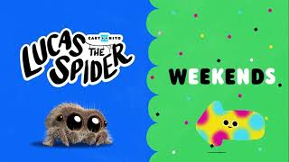 Cartoon Network - Lucas The Spider On Cartoonito Promo September 2021
