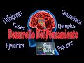 Desarrollo del Pensamiento 🧠 Fases, Procesos, Características, Ejemplos y Ejercicios de comprensión