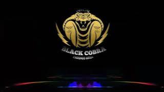 DJ_OFFICIAL BLACK COBRA (PADENGO AREA) BREAK SIMPLE PVNKY NEW 2021
