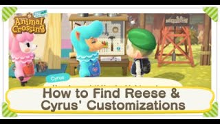 New Horizons!  Animal Crossing!  How to Find Reese & Cyrus Customizations? 🌈🍄🏡🛖🌸🌺🌸