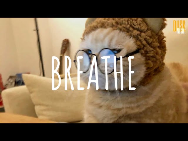 Breathe - DJ Komang Rimex (Vietsub + Lyric) class=