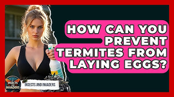 How Can You Prevent Termites From Laying Eggs? - Insects and Invaders