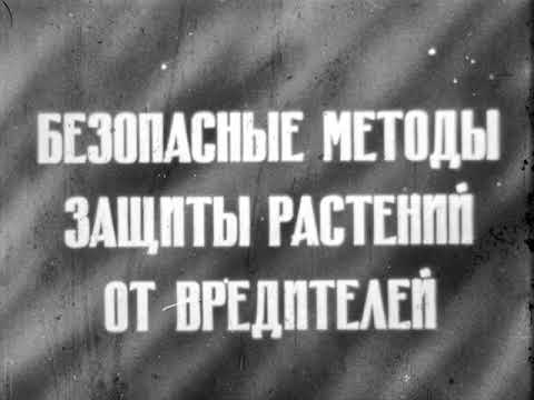 Безопасные методы защиты растений от вредителей. Советский образовательный фильм (1976) #агрономия