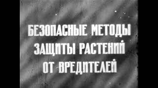 Безопасные методы защиты растений от вредителей. Советский образовательный фильм (1976) #агрономия