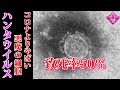 未来人が予言したコロナよりヤバいウイルスが中国で広まるかもしれない 都市伝説 心霊