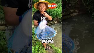 Celebrity this is so good net #viralvideo #youtubeshorts Wealth