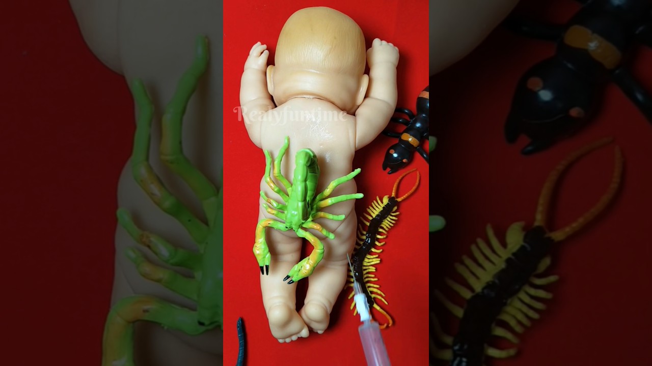 lovely squishy funny 😍 squishy 