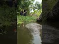 Amazing Fish Catching Moment | Big Fish Trap Success 🐟#fishcatchig