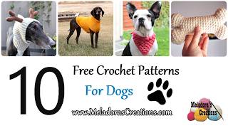 10 Free Dog Crochet Patterns - Crochet Dog patterns