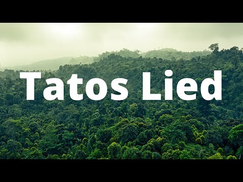 Buchvorstellung Tatos Lied