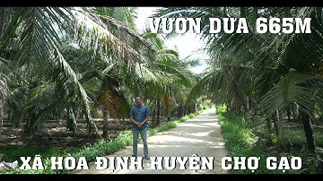 ⓵⓵⓵ vườn dừa 665m mặt tiền đường bê tông 4m tại Hòa Định Huyện Chợ Gạo Tiền Giang