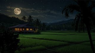 Cricket and Insects Sounds | Tranquil Night Ambience for Relaxation, Meditation & Deep Sleep 😴