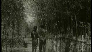 Best cameo by a chicken - Spring in a Small Town 小城之春 (1948) 