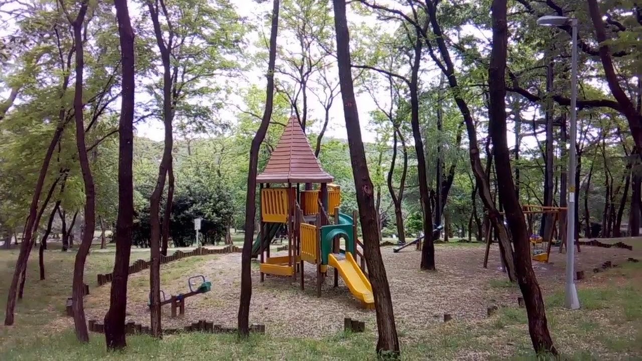 The Haunted Park YouTube the-haunted-park-youtube