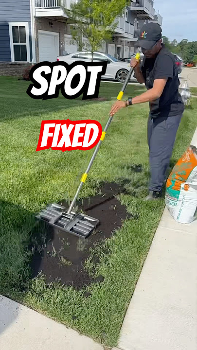 When Lawn Repair Works! #lawncare