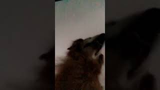 Daily snaps 7/24/18