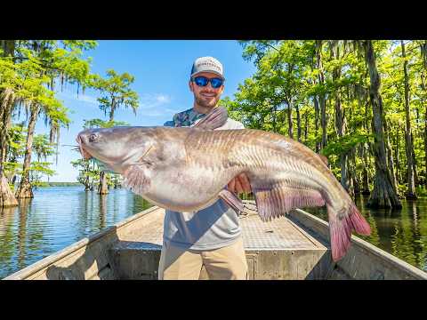 Thumbnail for Four Days Fishing South Carolina’s Santee Cooper Lakes