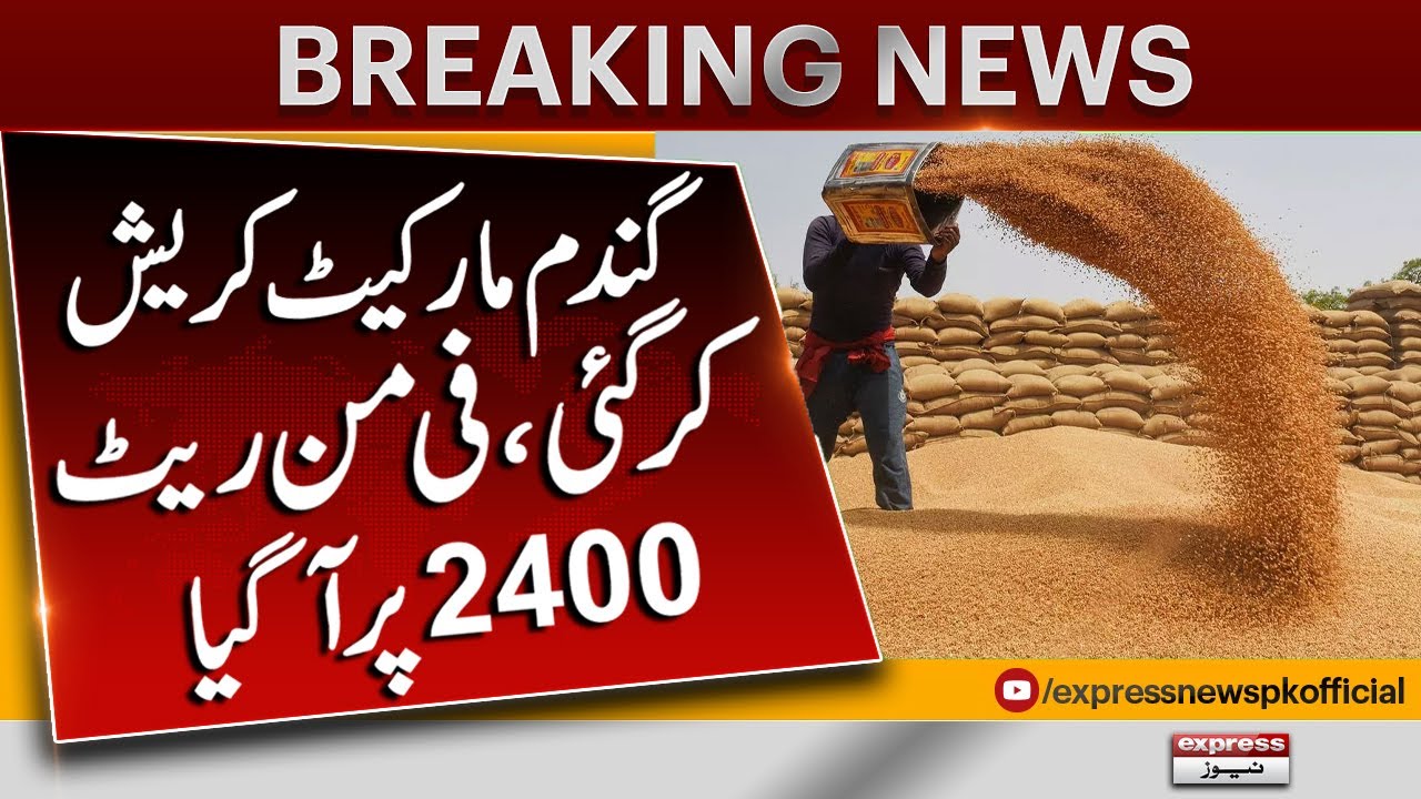 Wheat market crashed, Today Wheat Rate in Pakistan 2024 | Wheat Price ...