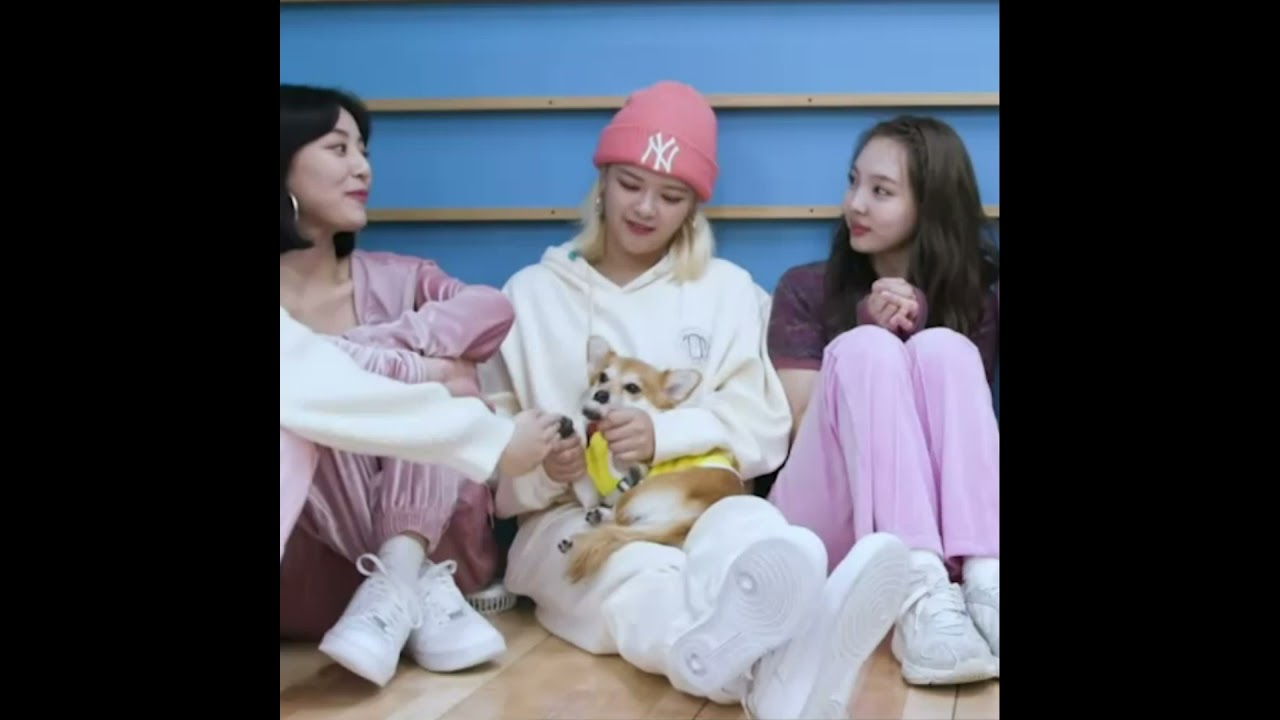 Watch Jeongyeon And Peanut Clapping on YouTube Watch Jeongyeon And Peanut Clapping on YouTube