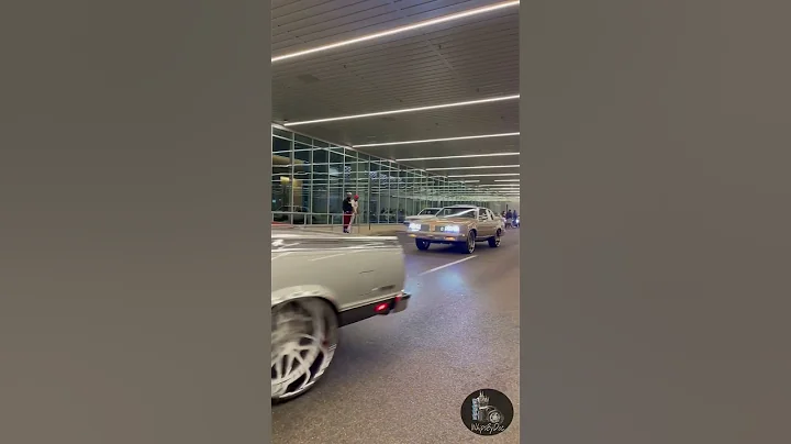 GBody line up 🔥🔥 #cutlass #gbody #gbodynation #viral #foryou #shorts #shortvideo #shorts #gold