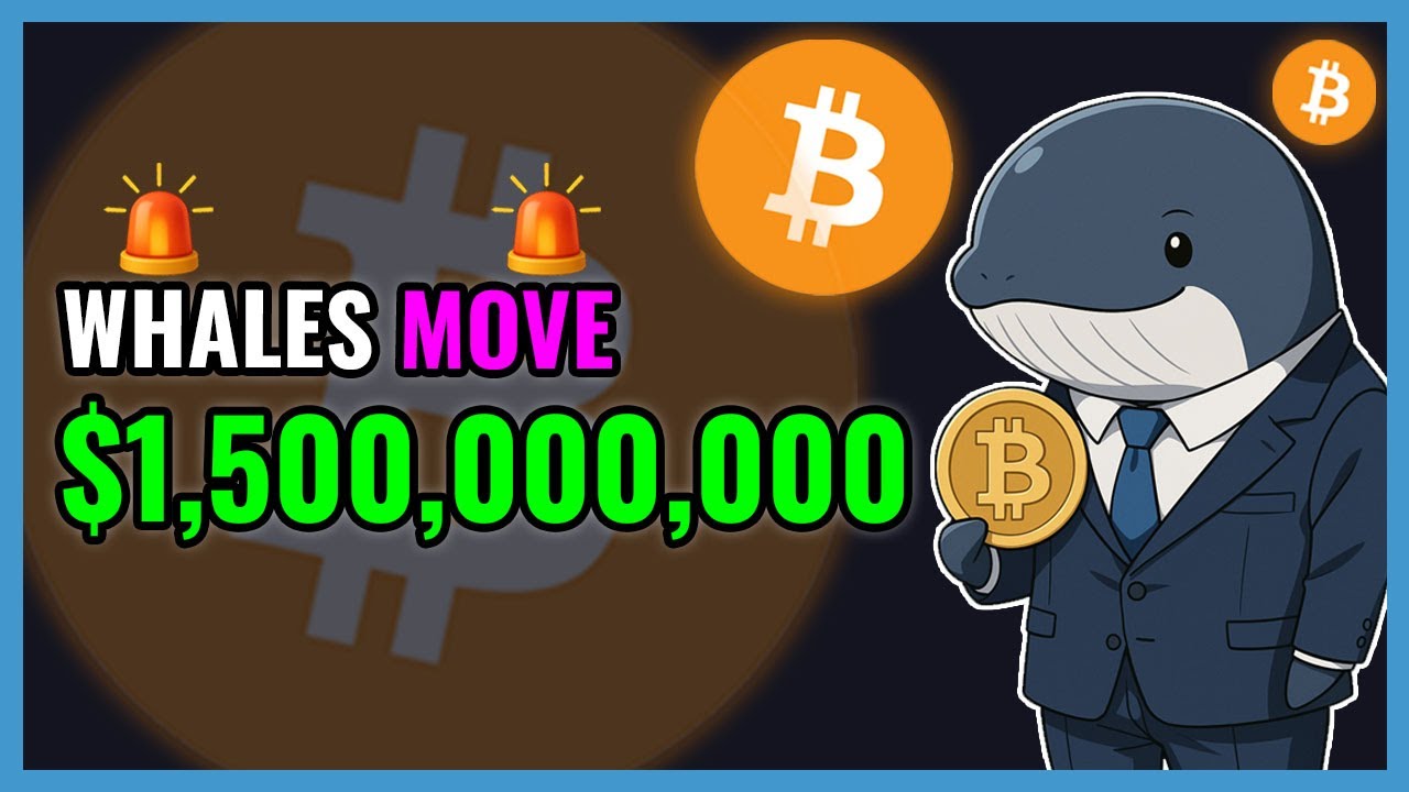Bitcoin Whales Just Moved $1,500,000,000!🚨 WHALE ALERT