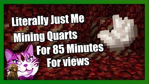 Literally Just Mining Nether Quartz For 170 Minutes Straight