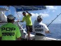 Hawaiian hybrid greenstick tuna fishing kona hawaii 2013